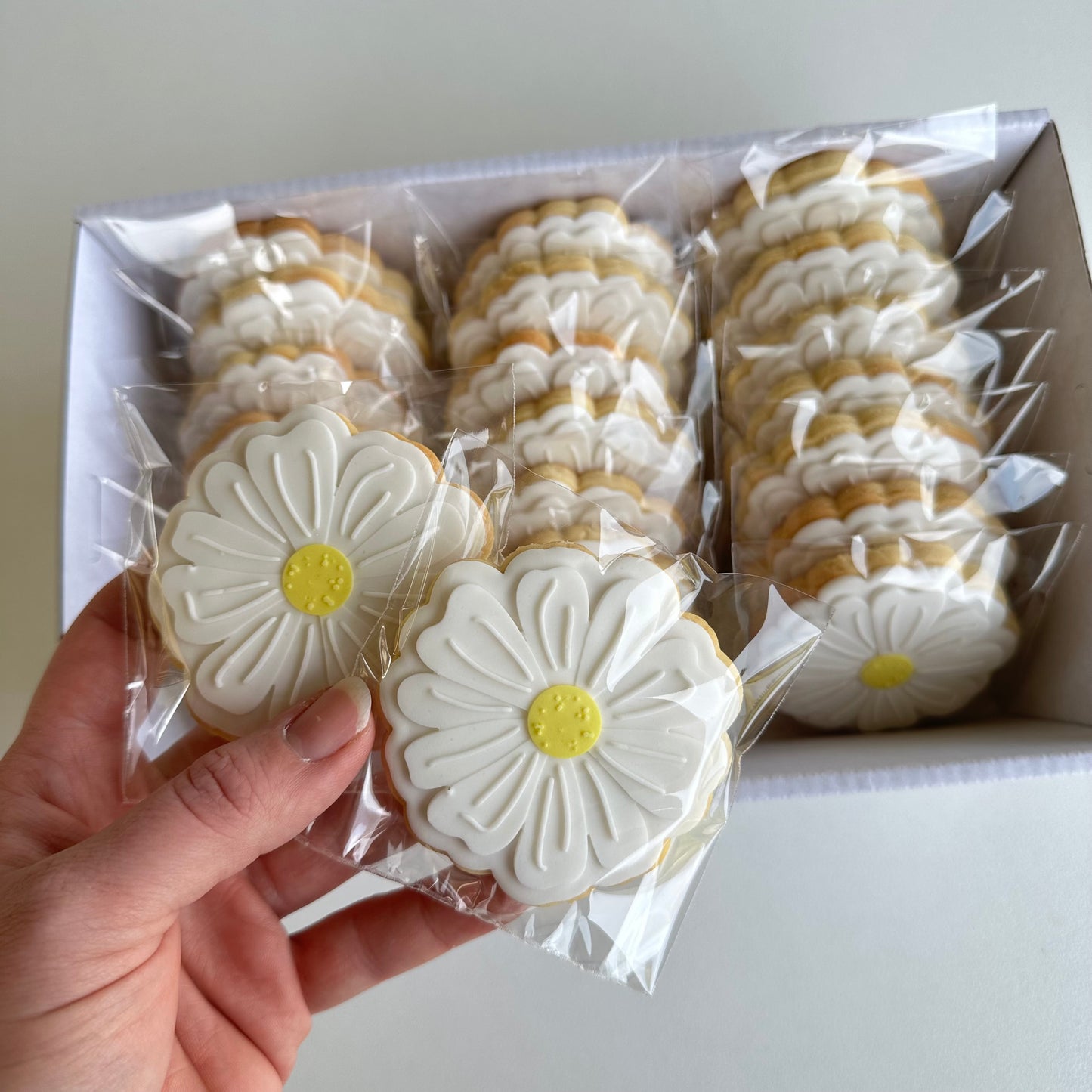 Daisy V2 Cookies