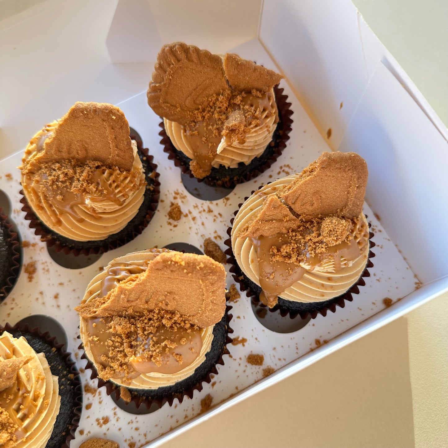 Chocolate Biscoff Cupcakes
